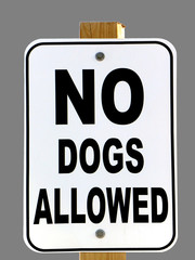 Sign reads: NO DOGS ALLOWED; isolated on grey