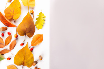 Autumn fall leaves from trees, rose hip. flat lay, top view. Composition for your design.