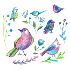A set of birds and flowers, illustration