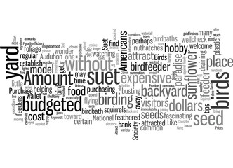 How to Attract Birds to Your Backyard Paradise For Less Than