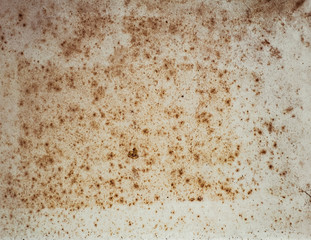 Aging, worn paper with water stains and rough edges