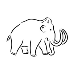 vector illustration of an mammoth , sketch 