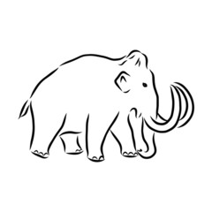 vector illustration of an mammoth , sketch 