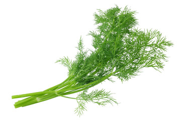 fresh bunch of dill isolated on white background