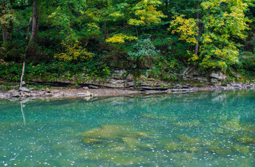 Beautiful turquoise blue mountain river. Large stones with rocks in the middle of a green forest.