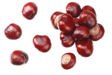 chestnuts isolated on white background. top view
