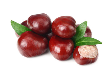 chestnuts with green leaves isolated on white background