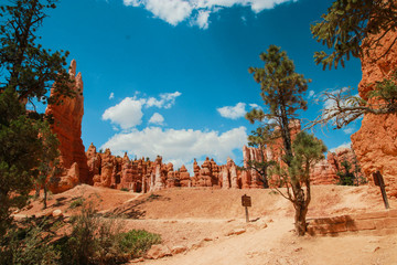 Beautiful Bryce Canyon National Park in Utah, USA. Orange rocks, blue sky. Giant natural amphitheaters and hoodoos formations. Great panoramic views from vista points and breathtaking adventure.