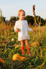 little girl on the field with pumpkins