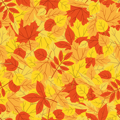 Autumn colorful leaf pattern