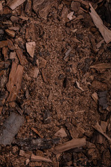 Old wood chips background Poster concept design photo shooting