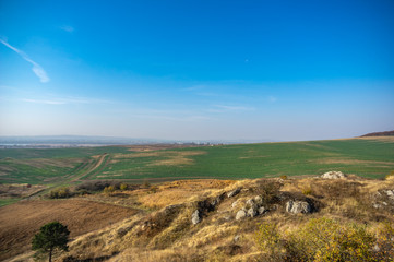 Fototapeta na wymiar Panorama of an agricultural field