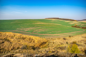 Fototapeta premium Panorama of an agricultural field