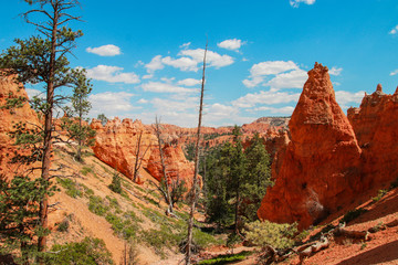 Beautiful Bryce Canyon National Park in Utah, USA. Orange rocks, blue sky. Giant natural amphitheaters and hoodoos formations. Great panoramic views from vista points and breathtaking adventure.