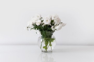 white roses isolated in glass bowl