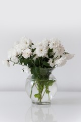 white roses isolated in glass bowl