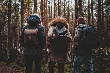 Three best friends are hiking in autumn pine forest with backpacks.