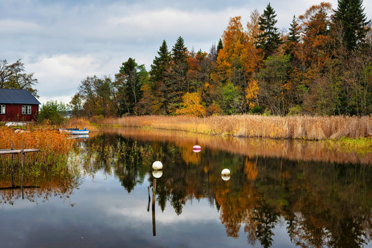 Boathouse at the coast in vividi autumn colors, reflecting water with the forest trees in orange and green fall colors