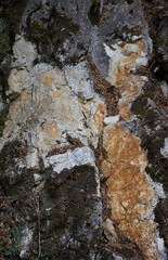 The texture of stone and moss.