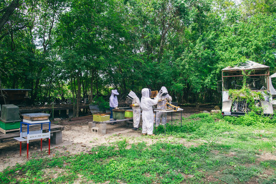 beekeepers