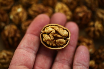 peeled whole kernels of walnuts harvest