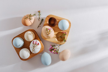 Natural Colored Eggs in wooden egg box and flowers with sunlights. Stylish Compositions in pastel colors.  Eco concept.