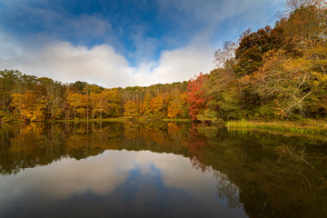 Fall colors by the lake