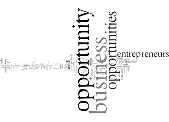 entrepreneur business opportunity