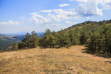 Beautiful Nature Landscape Serbia