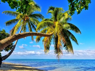 exploring magical island of tahiti