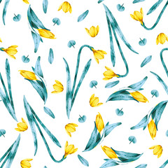 Fototapeta na wymiar pattern buds of daffodil
