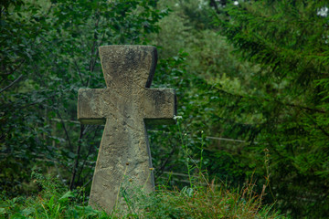 stone cross religion Christian sign in forest ground hill on pine trees green foliage natural background 