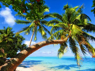 exploring magical island of tahiti