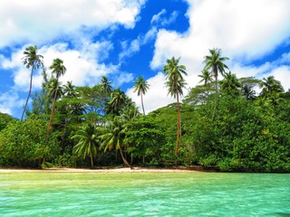 exploring magical island of tahiti