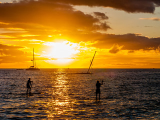 Fototapeta premium standup paddleboarders at sunst