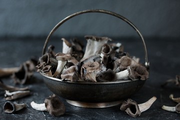 black chanterelle mushroom. Black Trumpet Mushroom. 