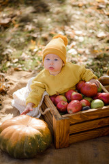 Fototapeta premium Cute little girl sitting on pumpkin and playing in autumn forest