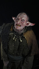 Goblin Troll 1