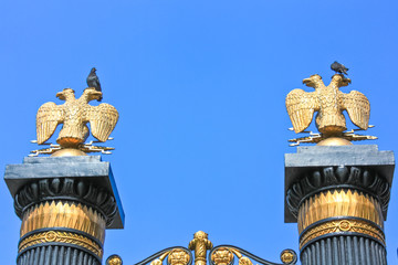 Pigeons sitting on double headed eagles (Russian coat of arms) in Aleksandrovskiy garden, Moscow, Russia