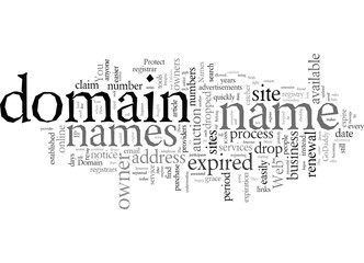 Domain Names Protect Yours From Drop Catchers