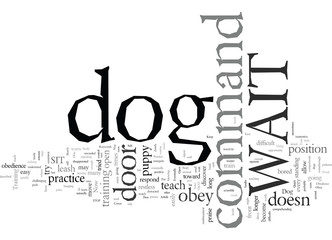 Dog Obedience A Quick and Easy Way To Train Your Dog to Obey The WAIT Command