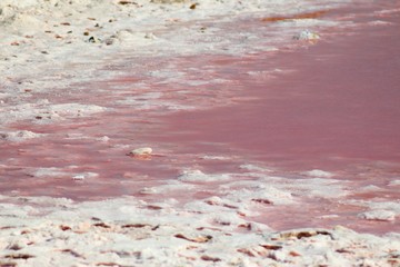 Maharloo Lake (Pink Lake), Iran