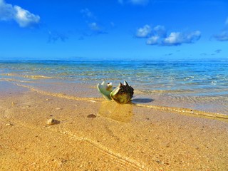 exploring magical island of tahiti