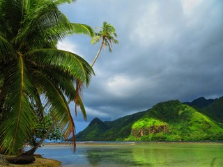 exploring magical island of tahiti