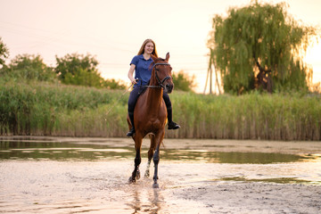 A young girl riding a horse on a shallow lake. A horse runs on water at sunset. Care and walk with...