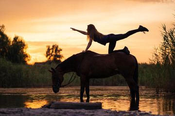 Silhouetted a slender girl practicing yoga on horseback, at sunset the horse stands in the lake....