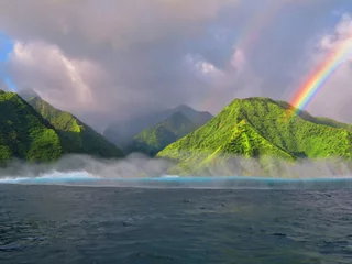 Foto op Plexiglas Exploring tropical island of tahiti © Vladimir