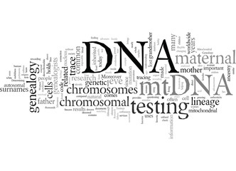 dna genealogy