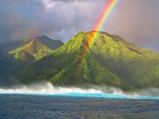 Exploring tropical island of tahiti