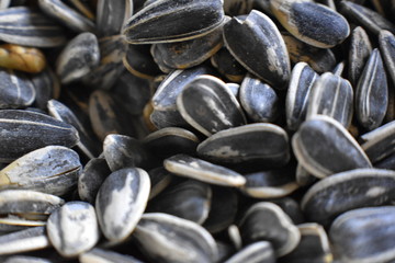 Sunflower Seeds